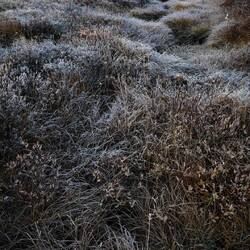 Die Öfen für warmes Wasser werden angefeuert