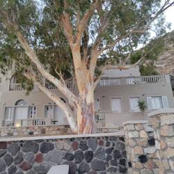 Our pretty little hotel.