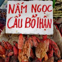 Mushrooms from jungle!