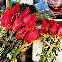 Shining red banana blossoms!