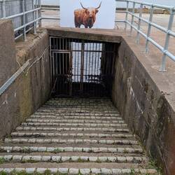 ...um Tiere und Waren direkt vom Schiff in den Zug zu verladen - damals.