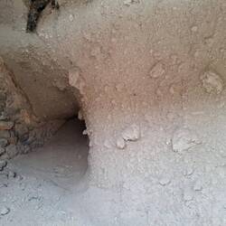 Versteinertes vulkanisches Material?