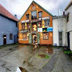 ...auch in den Hinterhöfen, gähnende Leere..