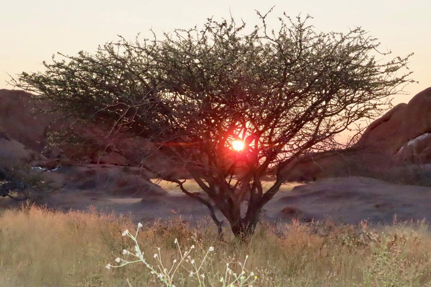 Ein neuer Tag beginnt