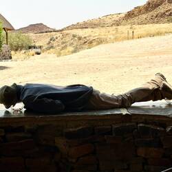 Nach der Fahrt: Nickerchen so...