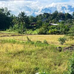 Big looming mountains