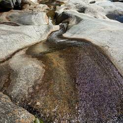The falls weave between the rocks