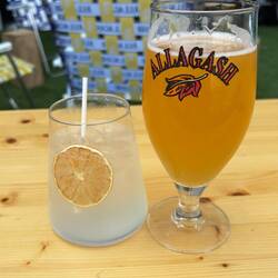 Lunch at Allagash Brewery