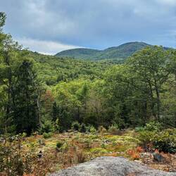 Maggie's Nature Park summit view