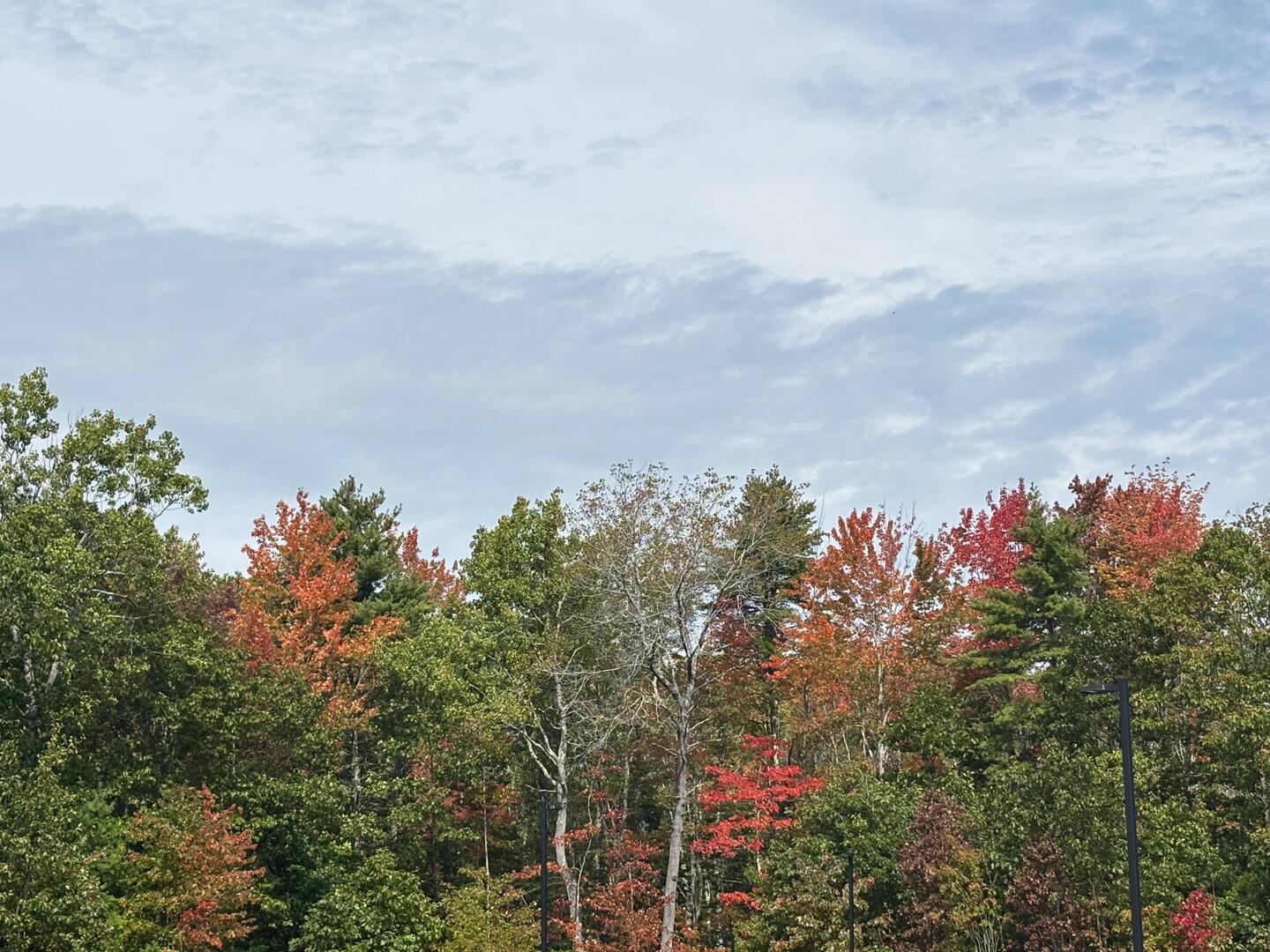 Fall colors in Maine