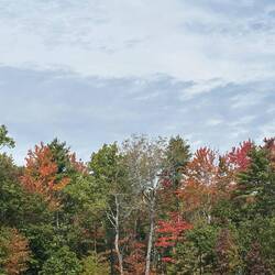 Fall colors in Maine