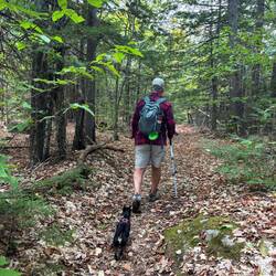 Pepper enjoying hiking with no leash