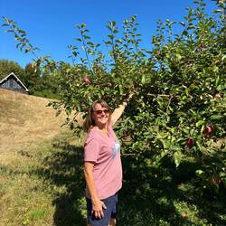 Picking apples!