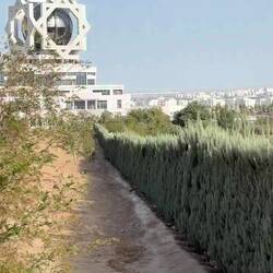 View of the white city from a lookout