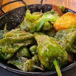 Pimientos de Padron - ohne eine Puta de madre! 😆