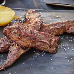 Die gegrillte Eidechse! 😋