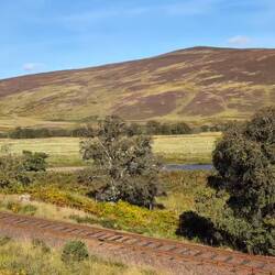 ...fährt der Zug mit 120 km/h