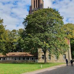St. Petri Dom Schleswig