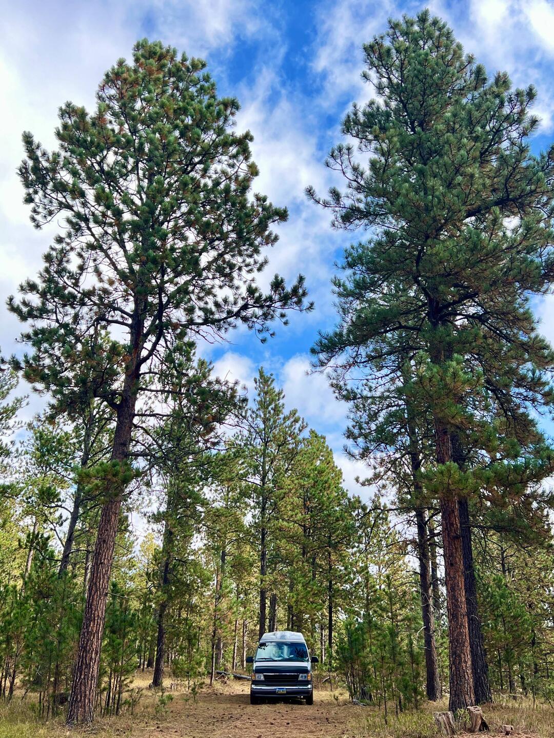Unser Camp bei Custer