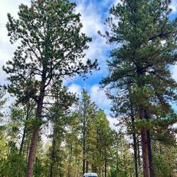 Unser Camp bei Custer