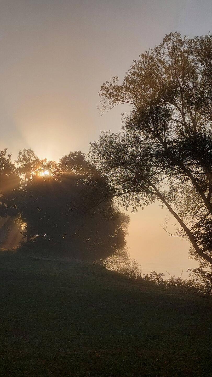 Morgenstimmung am See