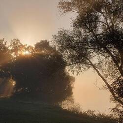 Morgenstimmung am See