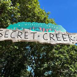 The secret is that there is no Beavers in the creek 🤣