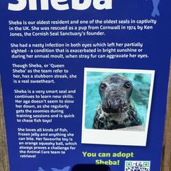 Blimey this seal older than Charlie