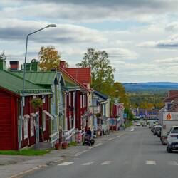 Vilhelmina