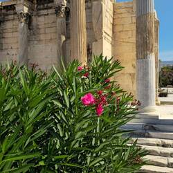 Ruinen der Hadriansbibliothek