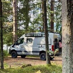 Toll inmitten des Waldes