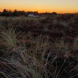 Und abends nochmal schnell in die Dünen