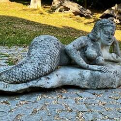 Die älteste Boltenhagerin.