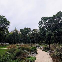 Medical garden with view on Nitra Cathedral - I would have enjoyed laying there if it hadn't rained