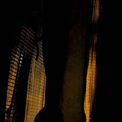 Why is that such a mood? Could be the cover of a 90s Tumblr emo song