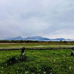 Hello Tatra. Nice to see you after two days...