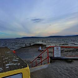 Da sind doch tatsächlich etliche im Wasser