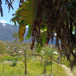 Enfin les toits de l'îlet La Nouvelle