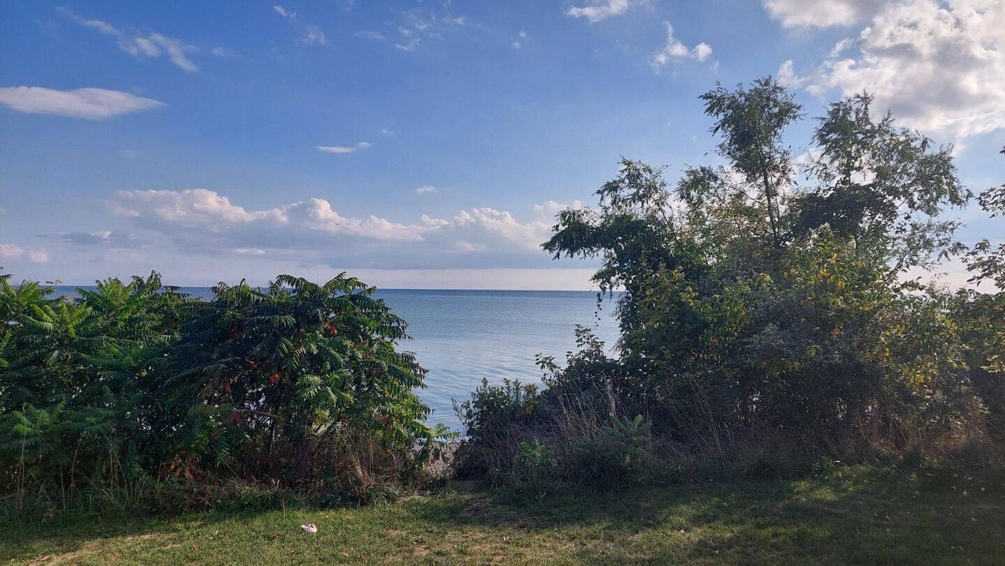 Meine Aussicht heute