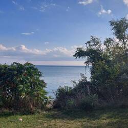 Meine Aussicht heute