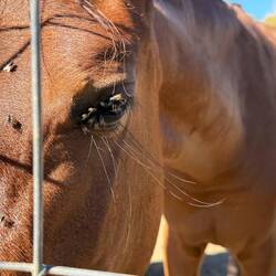 Longest eyelashes ever!