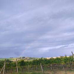 Arc-en-ciel du matin