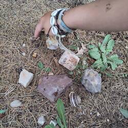 Landart du jour