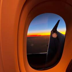 Der Flug in die Nacht