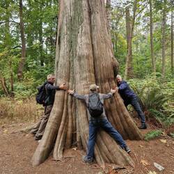 ....6 lange Arme reichen nicht 😳....