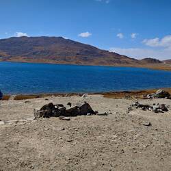 Sheosar Lake ... ich bin da!