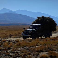 Ein paar wenige Fahrzeuge kommen mir entgegen.