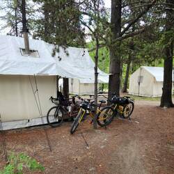 Our Glam tent with wood stove and actual beds!