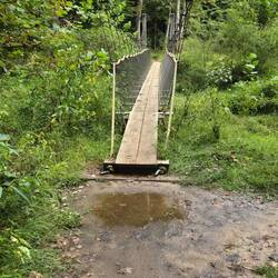 Swinging bridge
