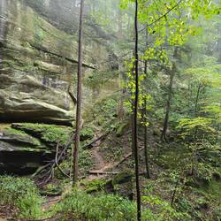 Hard to get perspective bt there is the trail in there